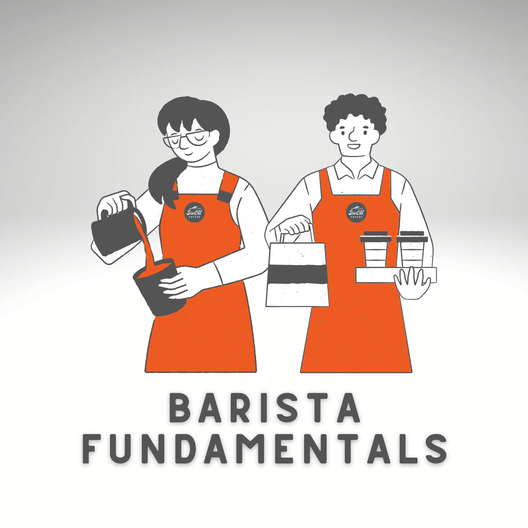 Barista Fundamentals